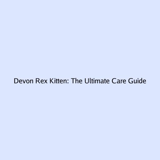 Devon Rex Kitten: The Ultimate Care Guide